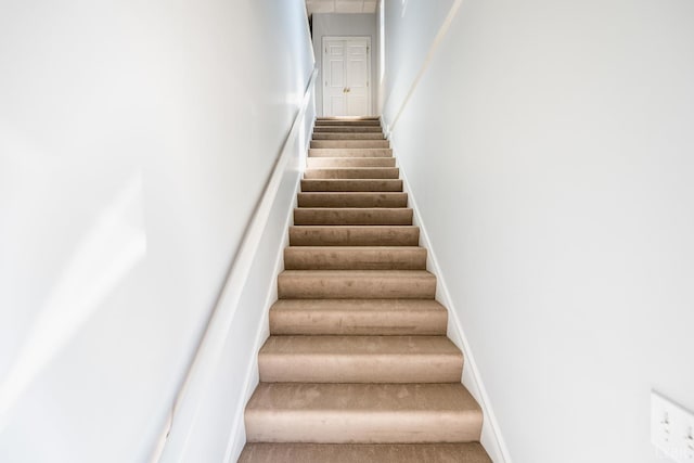 1313 Enterprise, Lynchburg, VA 24502 - stairs featuring carpet floors and baseboards