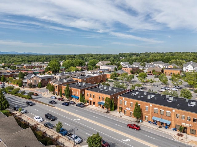 1313 Enterprise, Lynchburg, VA 24502 - bird's eye view