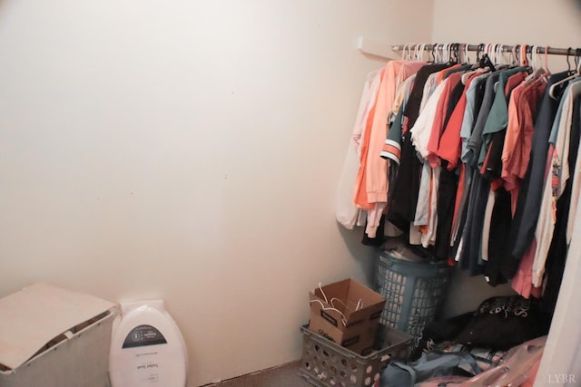 300 Mollies Creek Rd, Gladys, VA 24554 - walk in closet featuring carpet floors
