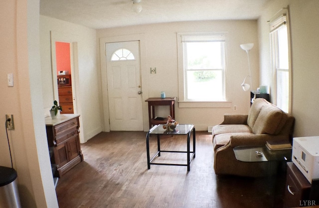300 Mollies Creek Rd, Gladys, VA 24554 - living area featuring wood finished floors