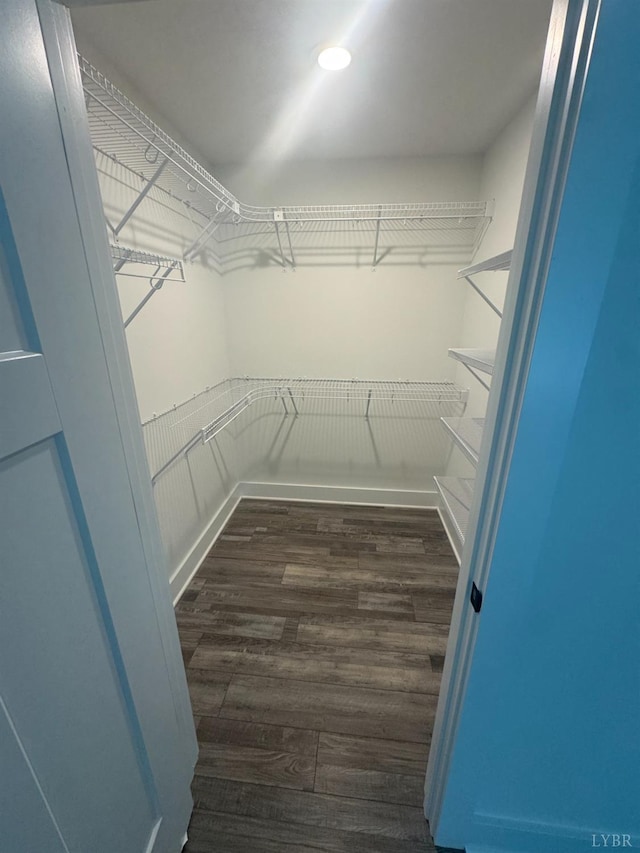 601 Mockingbird Ln, Gladstone, VA 24553 - walk in closet with wood finished floors