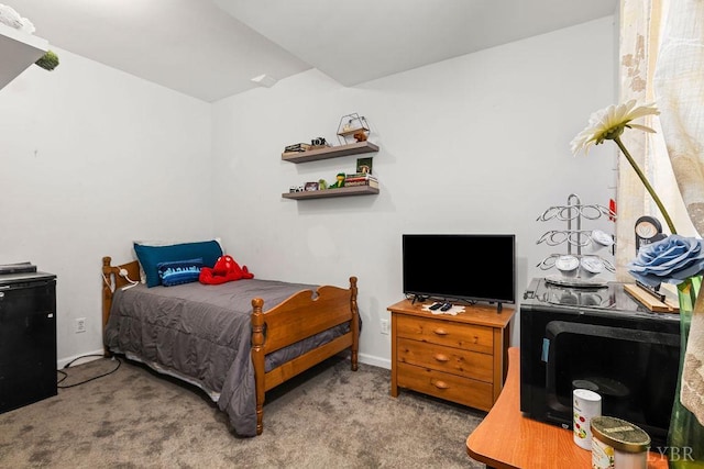 76 Delaney Dr, Lynchburg, VA 24501 - photo 39