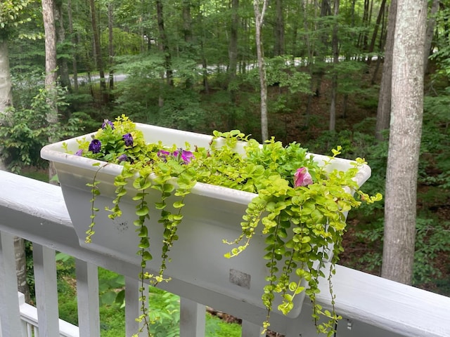356 Juniper Dr, Lynchburg, VA 24502 - photo 31