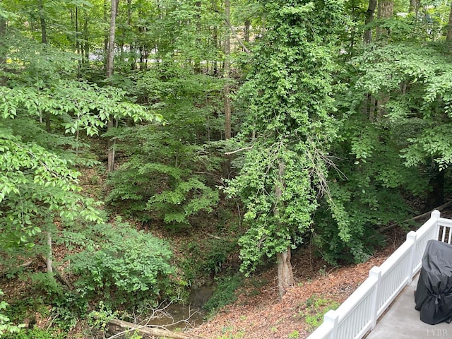 356 Juniper Dr, Lynchburg, VA 24502 - photo 35
