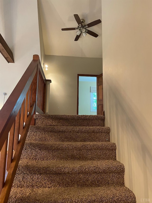 356 Juniper Dr, Lynchburg, VA 24502 - photo 15