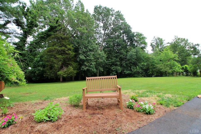1538 Redfields Rd, Appomattox, VA 24522 - view of green lawn