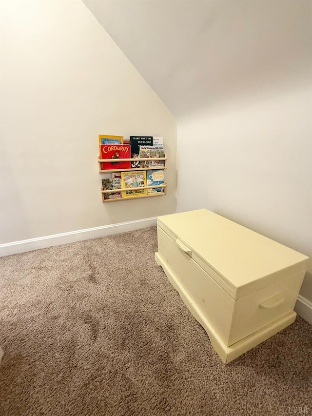 1309 Cherokee Ave, Lynchburg, VA 24502 - detailed view of carpet flooring