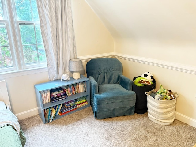1309 Cherokee Ave, Lynchburg, VA 24502 - sitting room with carpet and vaulted ceiling
