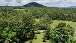 2025 Coles Creek Dr, Rocky Mount, VA 24151 - mountain view