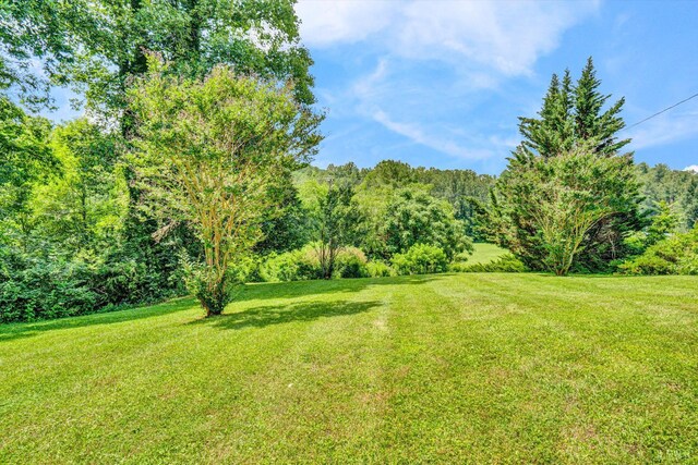 2025 Coles Creek Dr, Rocky Mount, VA 24151 - photo 26