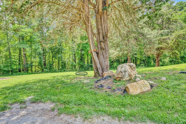 2025 Coles Creek Dr, Rocky Mount, VA 24151 - photo 25