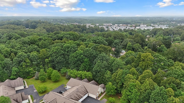 158 Salisbury Cir, Lynchburg, VA 24502 - drone / aerial view of a forest
