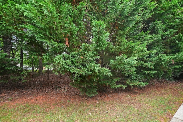 158 Salisbury Cir, Lynchburg, VA 24502 - view of yard