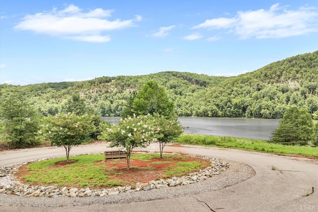 0 Talon Ridge Rd, Pittsville, VA 24137 - photo 9