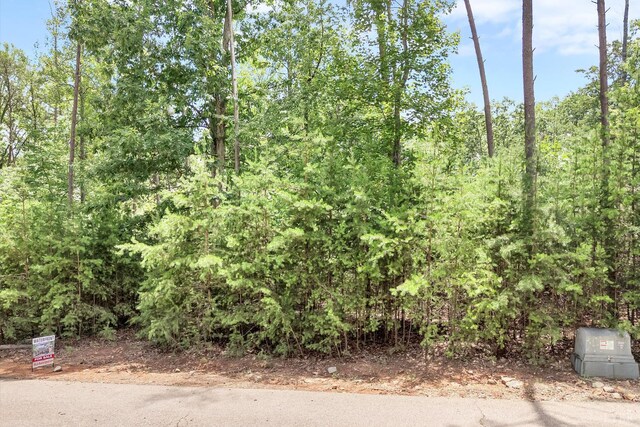 0 Talon Ridge Rd, Pittsville, VA 24137 - photo 26