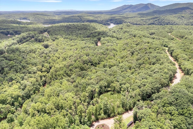 0 Talon Ridge Rd, Pittsville, VA 24137 - photo 18