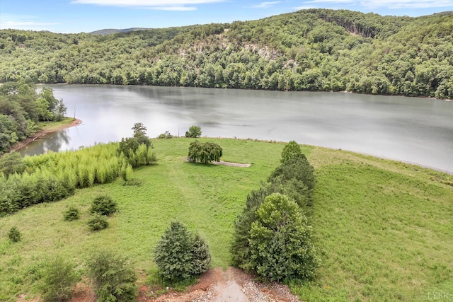 0 Talon Ridge Rd, Pittsville, VA 24137 - photo 10