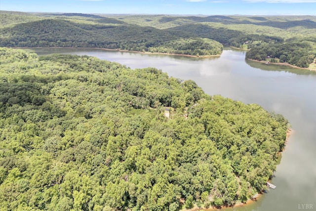 0 Talon Ridge Rd, Pittsville, VA 24137 - photo 1