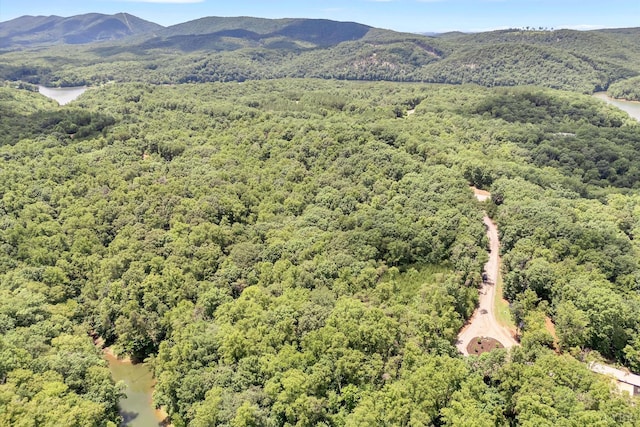 0 Talon Ridge Rd, Pittsville, VA 24137 - photo 19