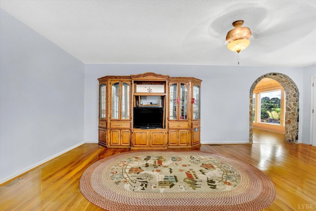 581 Ben Annie Rd, Gretna, VA 24557 - unfurnished living room with arched walkways, light wood-type flooring, and a ceiling fan