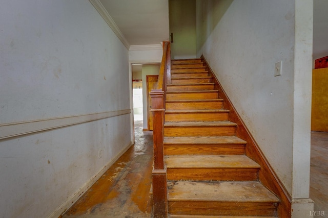 5167 Boonsboro Rd, Lynchburg, VA 24503 - photo 4