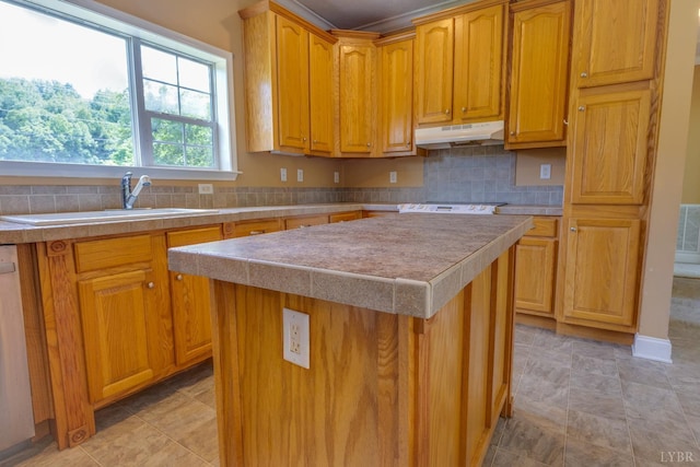 1121 Red Hill Rd, Big Island, VA 24526 - kitchen featuring under cabinet range hood, backsplash, a center island, light countertops, and stainless steel dishwasher