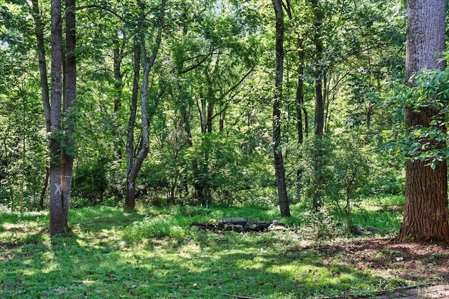 802 Lake Vista Dr, Forest, VA 24551 - view of wooded area