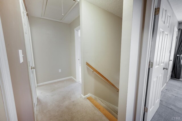 394 Addie Way, Lynchburg, VA 24501 - photo 20