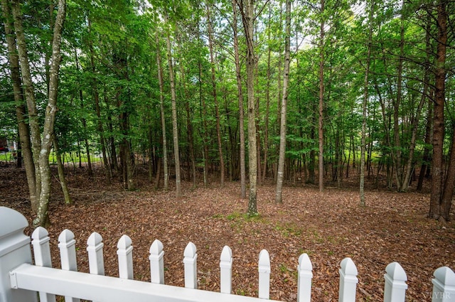 394 Addie Way, Lynchburg, VA 24501 - photo 62