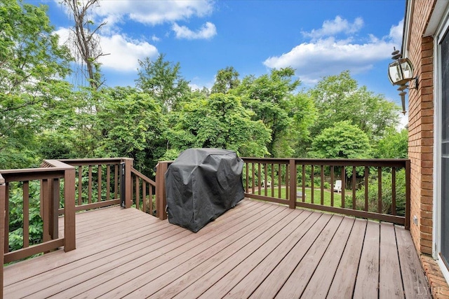 6032 Rhonda Rd, Lynchburg, VA 24502 - photo 54