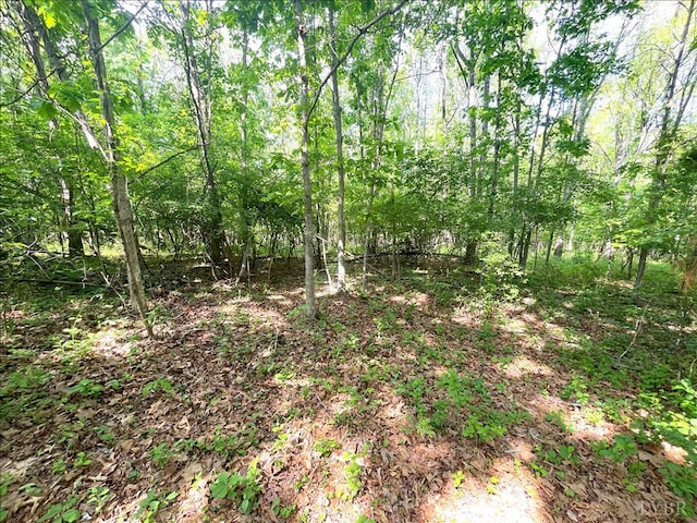 0 S Amherst Hwy, Monroe, VA 24574