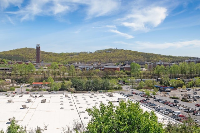 1600 Wards Fry Unit 506-8, Lynchburg, VA 24502 - photo 33