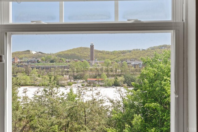 1600 Wards Fry Unit 506-8, Lynchburg, VA 24502 - photo 17