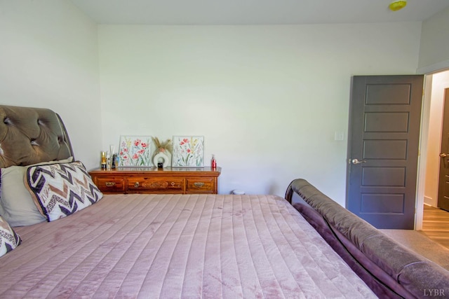 30 Patrick Ct, Madison Heights, VA 24572 - bedroom with wood finished floors
