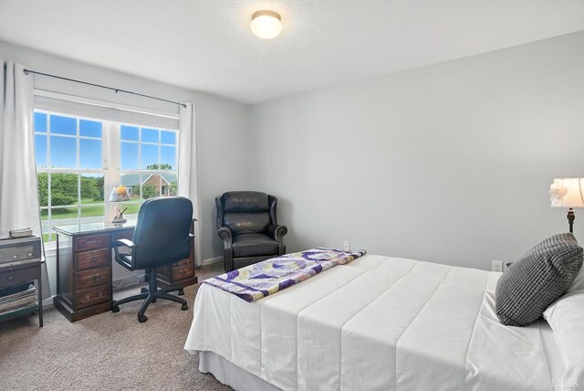 4086 Thomas Jefferson Rd, Forest, VA 24551 - bedroom with carpet and an office area