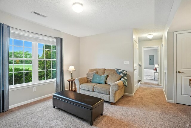 4086 Thomas Jefferson Rd, Forest, VA 24551 - living area with light colored carpet, a textured ceiling, and electric panel