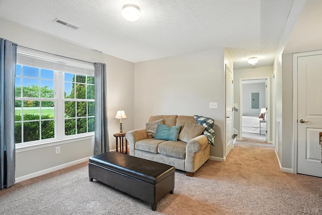 4086 Thomas Jefferson Rd, Forest, VA 24551 - living room featuring light colored carpet and a textured ceiling