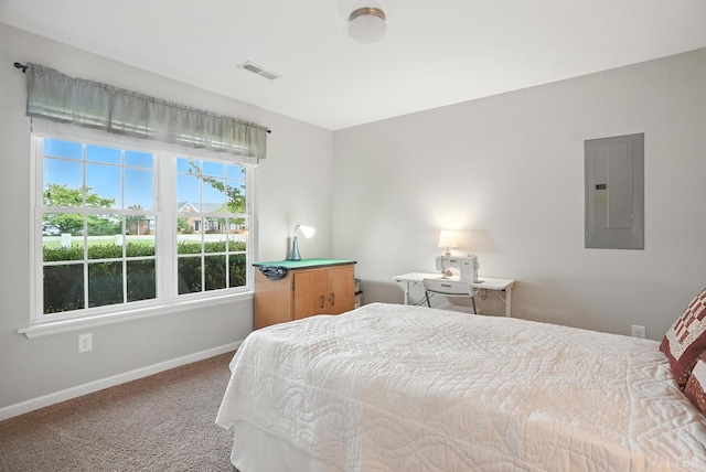 4086 Thomas Jefferson Rd, Forest, VA 24551 - carpeted bedroom featuring electric panel and baseboards