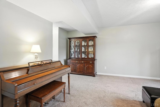 4086 Thomas Jefferson Rd, Forest, VA 24551 - office space with light carpet and a textured ceiling