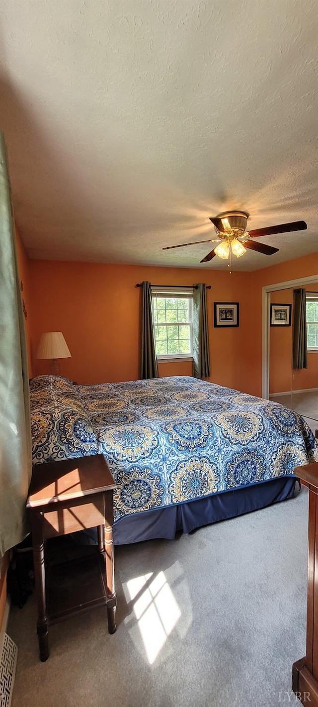 1769 Izaak Walton Rd, Madison Heights, VA 24572 - carpeted bedroom featuring multiple windows, a textured ceiling, and ceiling fan