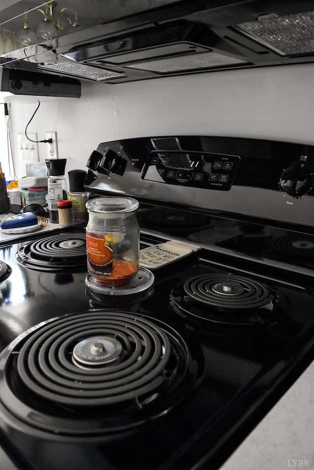 1769 Izaak Walton Rd, Madison Heights, VA 24572 - kitchen view of electric stove and exhaust hood