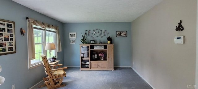 1769 Izaak Walton Rd, Madison Heights, VA 24572 - miscellaneous room featuring carpet flooring and a textured ceiling