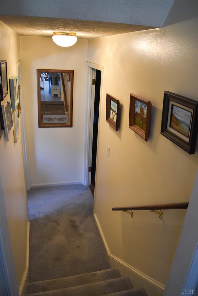 1769 Izaak Walton Rd, Madison Heights, VA 24572 - stairs featuring carpet floors and baseboards