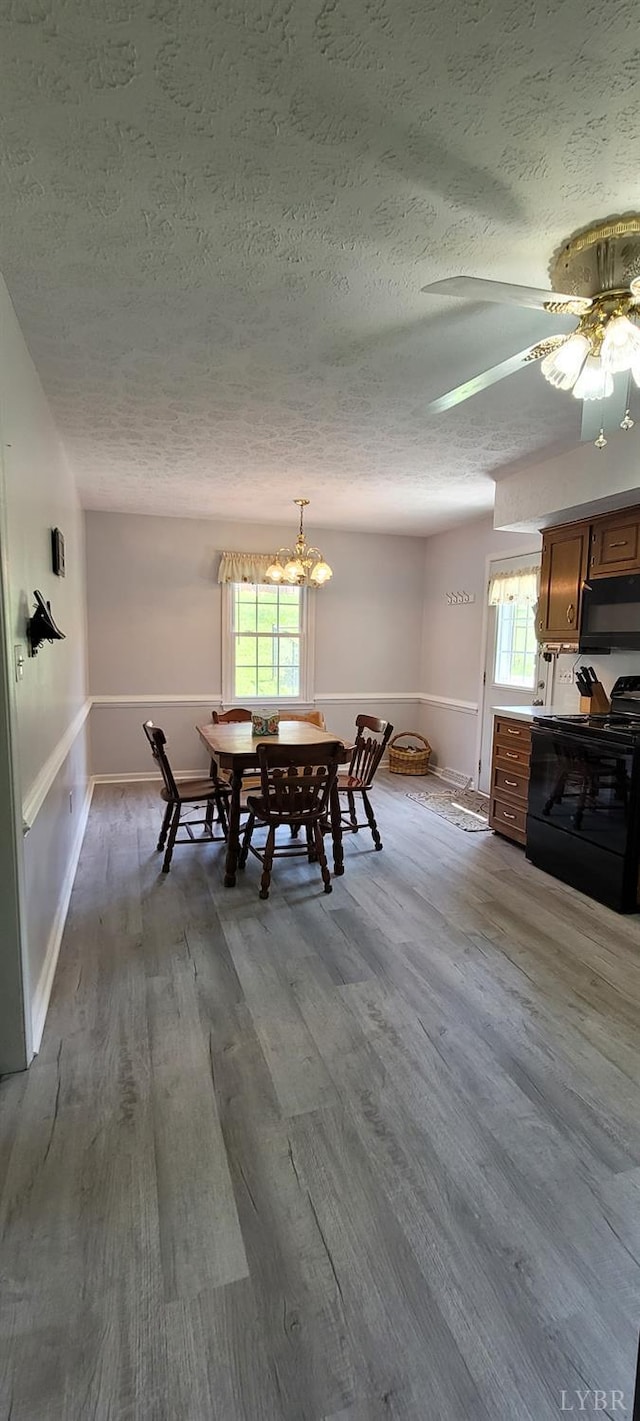 1769 Izaak Walton Rd, Madison Heights, VA 24572 - dining room with a textured ceiling, wood finished floors, a chandelier, and a ceiling fan