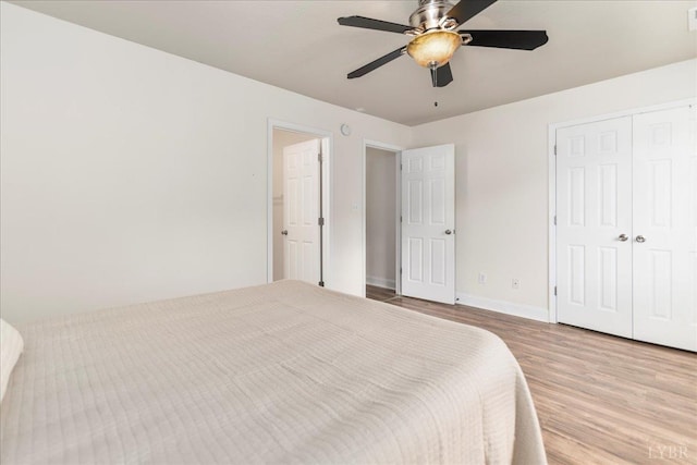 3600 Old Forest Rd Unit 107, Lynchburg, VA 24501 - bedroom with wood finished floors, a closet, and a ceiling fan