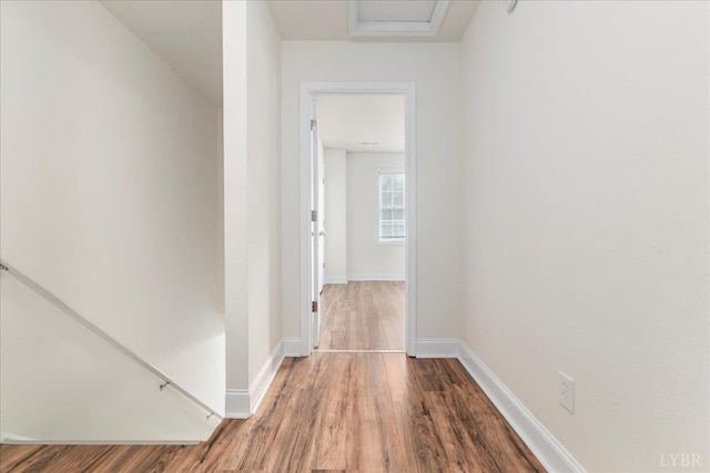 3600 Old Forest Rd Unit 107, Lynchburg, VA 24501 - corridor featuring wood finished floors and baseboards