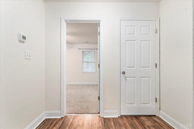 3600 Old Forest Rd Unit 107, Lynchburg, VA 24501 - hallway with dark wood-style flooring