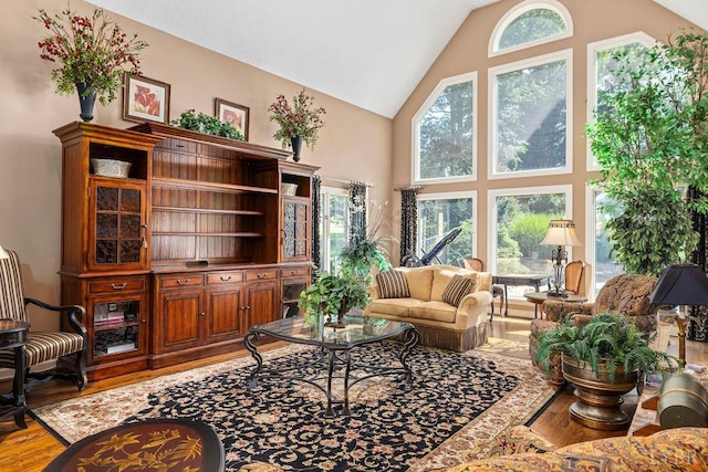 112 Haines Point Ter, Forest, VA 24551 - living room featuring wood finished floors and high vaulted ceiling