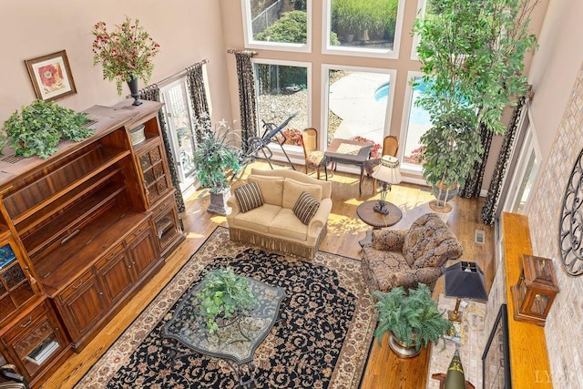 112 Haines Point Ter, Forest, VA 24551 - living area with light wood-style floors, plenty of natural light, and a towering ceiling