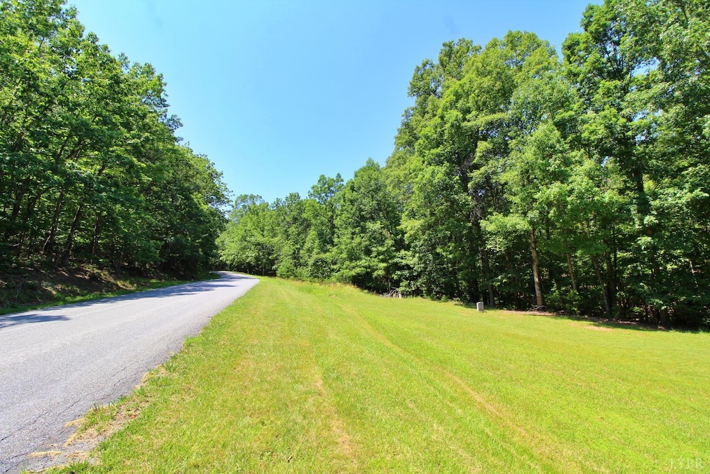 3 Smokey Hollow Rd, Lynchburg, VA 24504 - photo 3